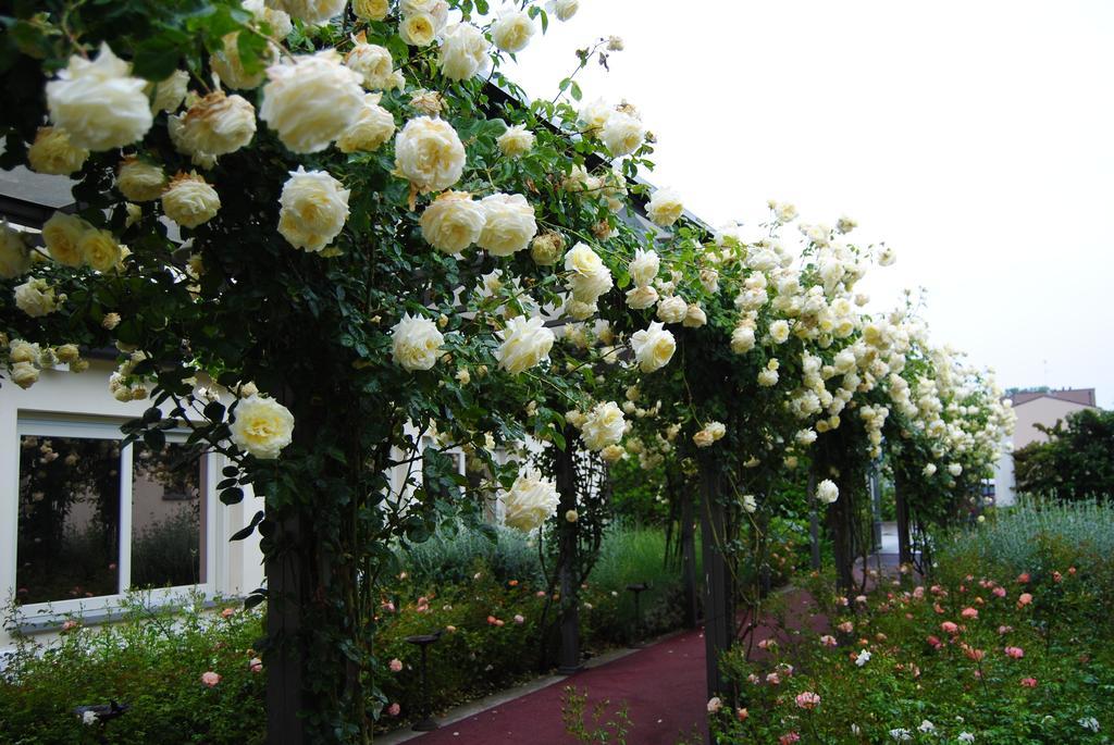Relais Villa Roncuzzi Russi Luaran gambar